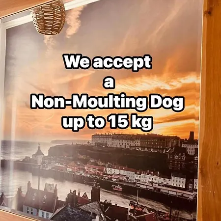 Holiday home Snuze Whitby